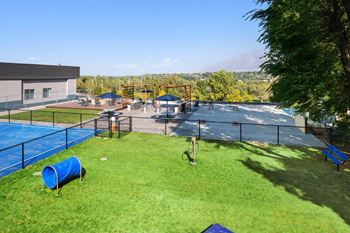 Pet park